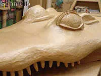 Machoire superieure du croco